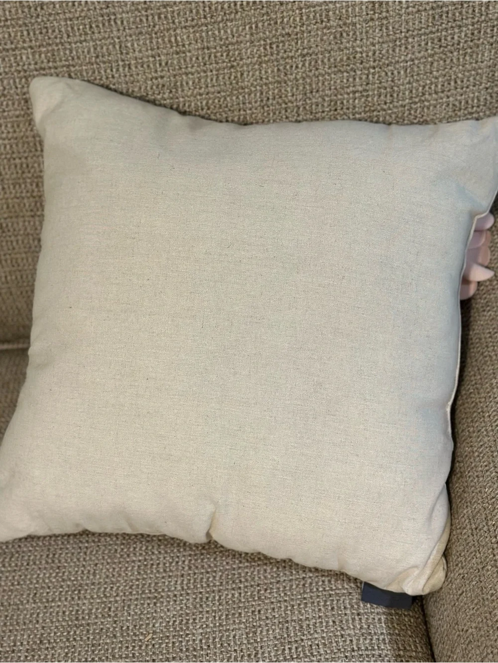 Velvet Floral Appliqué Accent Pillow in Blush and Burgundy